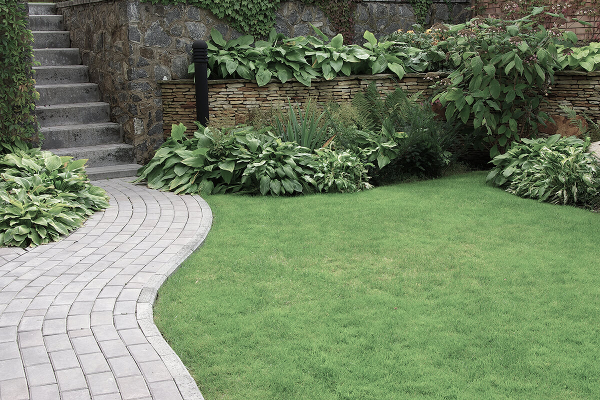 Welcome to Peak Performance Landscaping